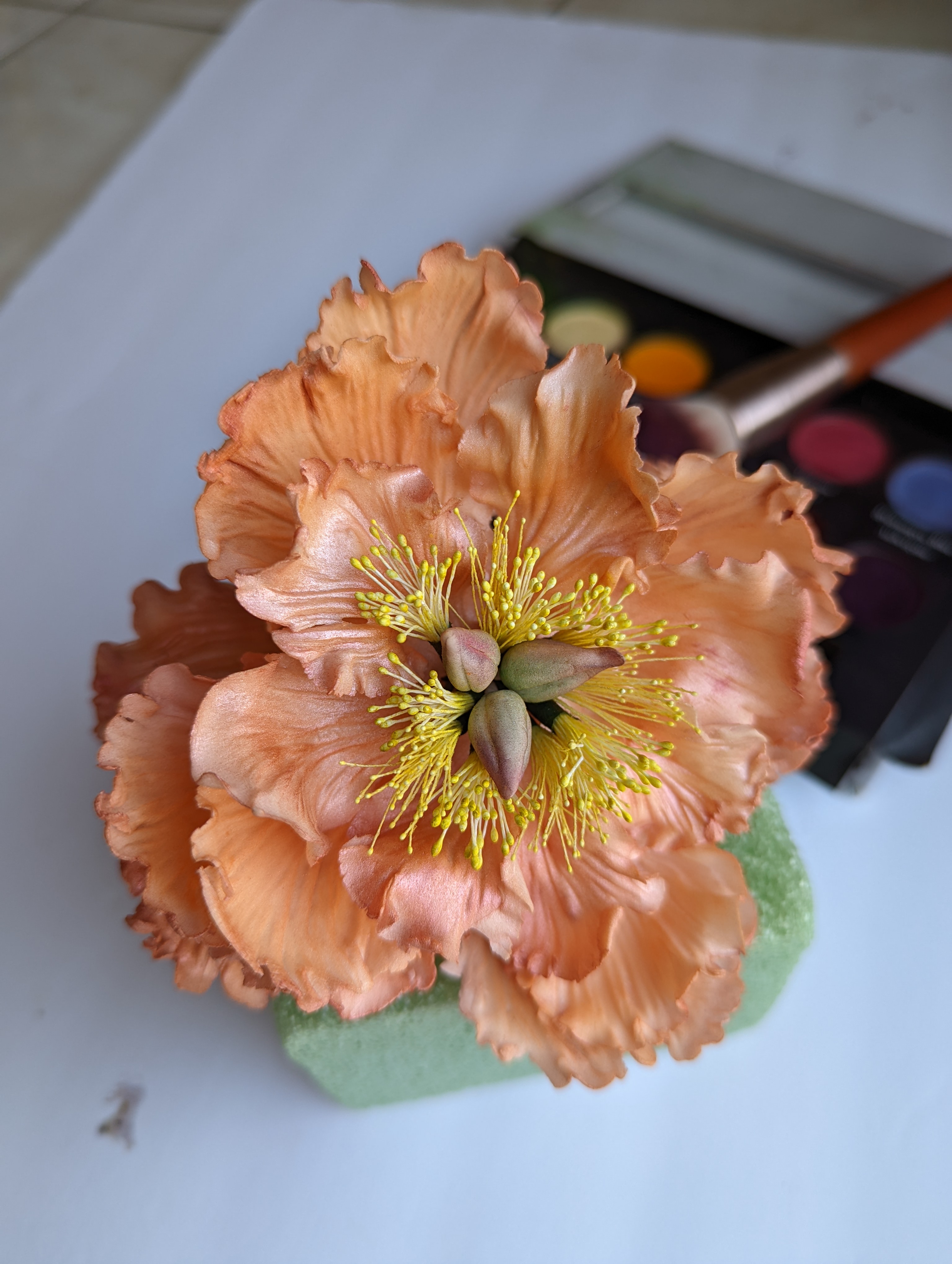 large petal flowers